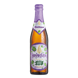 Waldhaus Hopfensturm