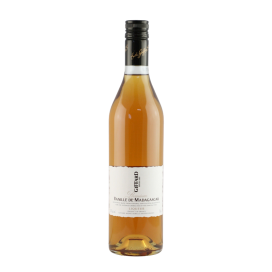 Giffard Vanille de Madacascar