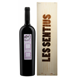 Joan Simo Priorat DOCa Les Sentius Magnum 2016