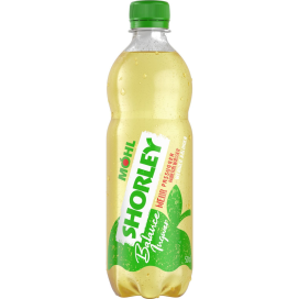 Möhl Shorley Balance Ingwer 4x6 EW