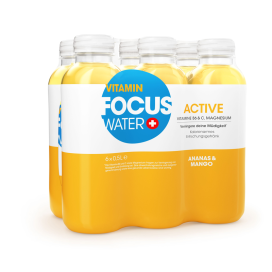 FOCUSWATER ACTIVE Ananas Mango 4x6 EW PET