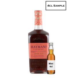 MINI Hayman's Sloe Gin
