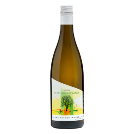 Baumgartner Riesling-Sylvaner Loch 2024