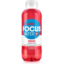 FOCUSWATER MIND Erdbeere 4x6 EW PET